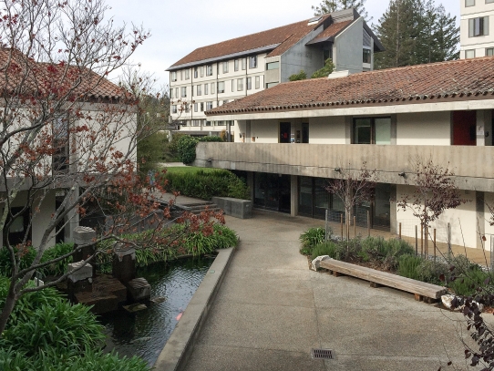 An image of Porter College at UC Santa Cruz near the koi pond