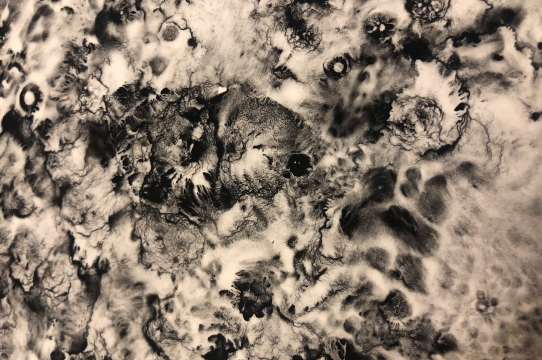 Detail of an ink wash from a work-in-progress by Angel Gonzales