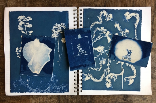 A work-in-progress cyanotype print by Natalie Del Castillo