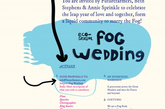 Fog Wedding