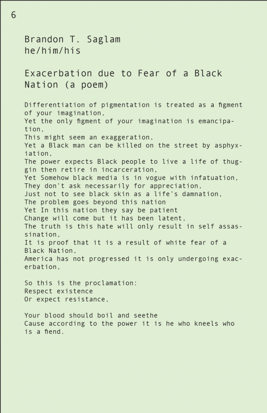 Exacerbation due to Fear of a Black Nation, a poem by Brandon T. Saglam