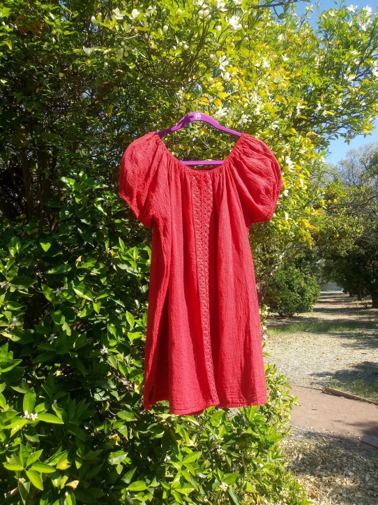 A red dress with capped sleeves hanging on a green tree