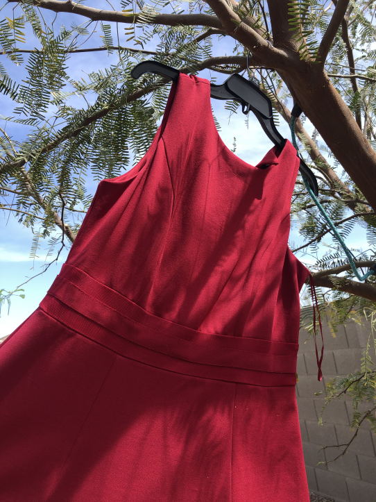 A crimson red dress hanging from a fir tree