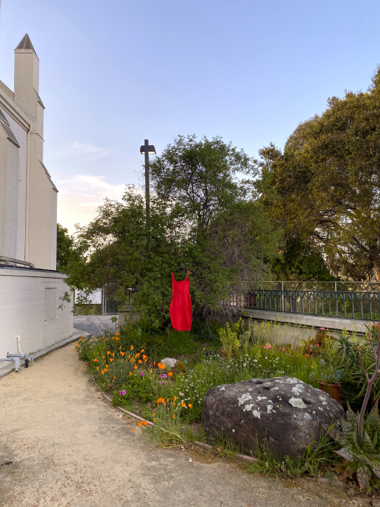 A red sleeveless dress on a black clothes hanger hanging from a tree at the Native American Cemetery Wall adjacent to Mission Santa Cruz