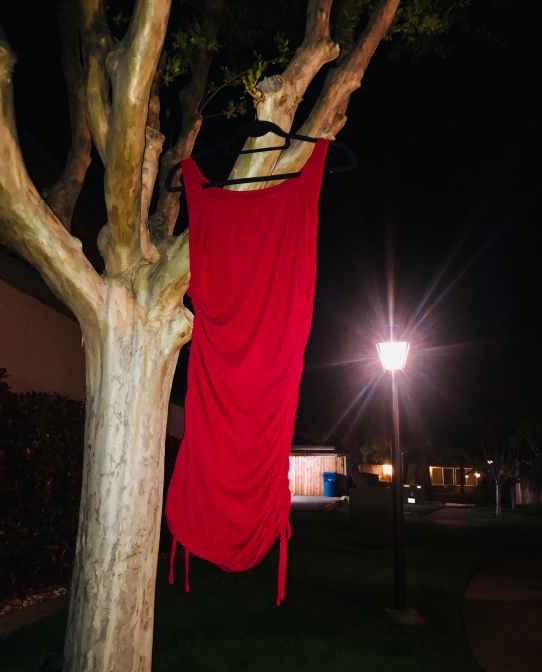 A sleeveless red dress hanging from a black clothes hanger in a tree at night near a lamppost