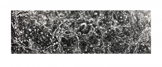 Angel Gonzales, Organic Matter (2019), Intaglio etching and toner wash 6” x 18”