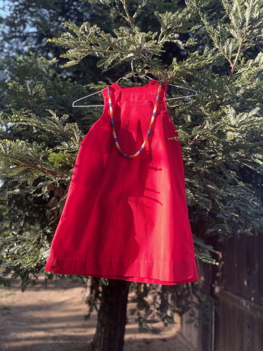 A red sleeveless child's dress with necklace on a wire clothes hanger hanging on a Redwood tree