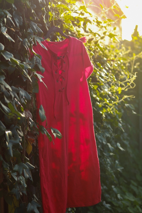 A short sleeved red lace-up dress on a black clothes hanger hanging from vines with the sun behind it