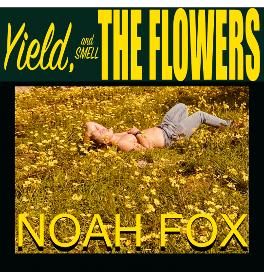 Noah Fox 1