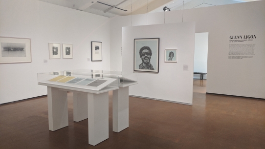 Installation view of Glenn Ligon: From the Collections of Jordan D. Schnitzer and His Family Foundation at the Mary Porter Sesnon Art Gallery, UC Santa Cruz