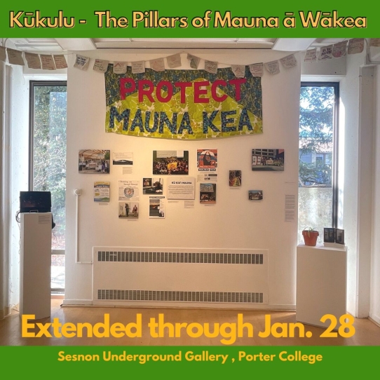 Kūkulu - The Pillars of Mauna ā Wākea art exhibition at the Sesnon Underground Gallery, Porter College